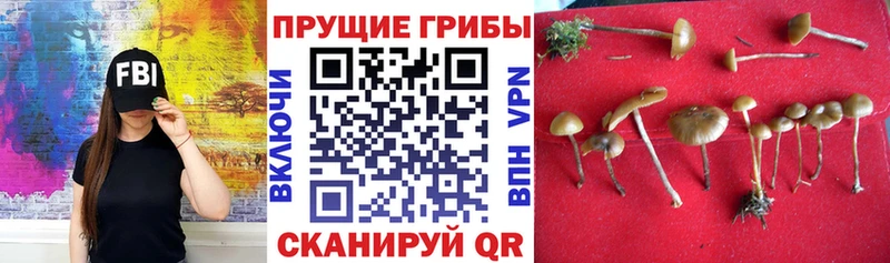 Галлюциногенные грибы MAGIC MUSHROOMS  Джанкой 