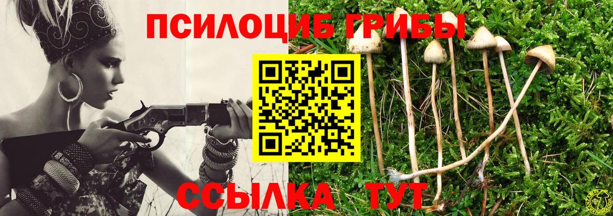 Джанкой  магазин продажи   Вход с VPN  Псилоцибиновые грибы Psilocybe  Галлюциногенные грибы мицелий 