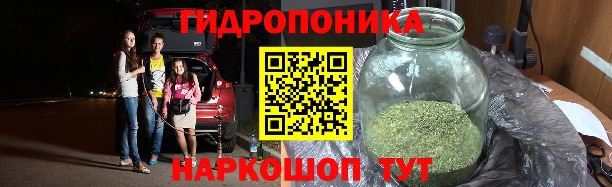 Канабис OG Kush  Вход с VPN  Джанкой  Бошки марихуана конопля  МАРИХУАНА план  МАРИХУАНА индика 